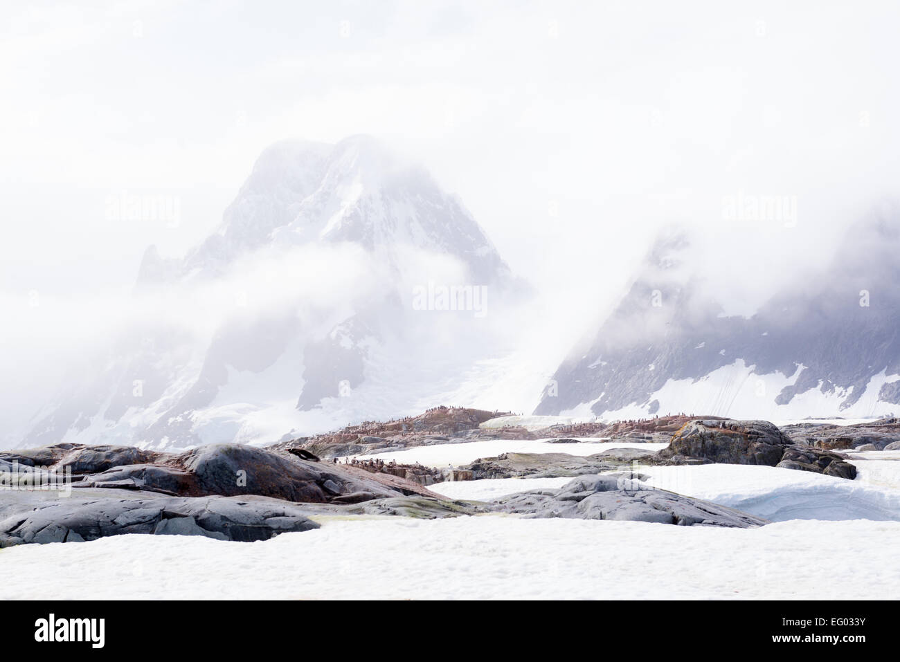 Zerklüftete Landschaft auf Petermann Island, Antarktis Stockfoto