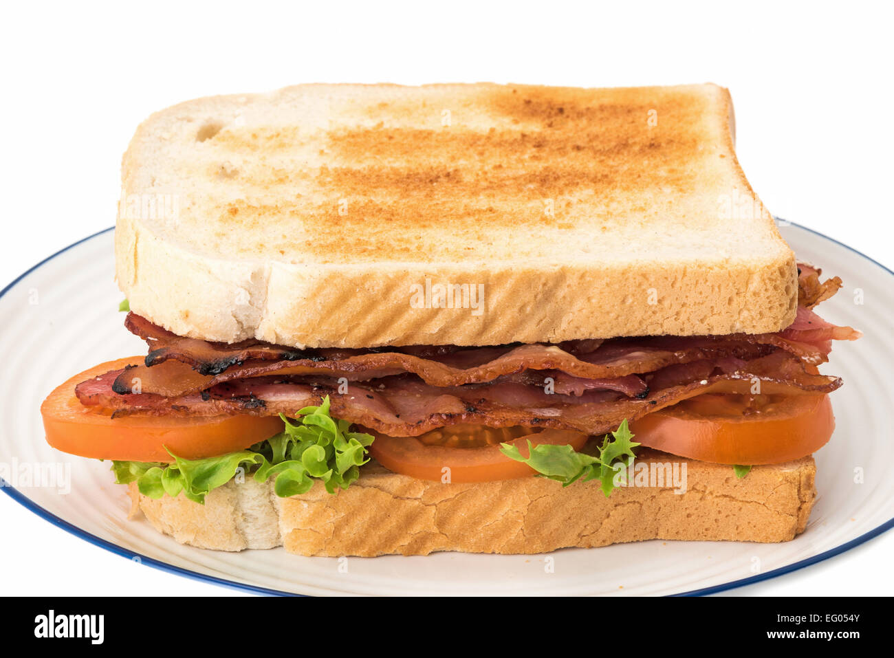 Ein geröstetes Brot BLT Sandwich - weißer Hintergrund Stockfoto