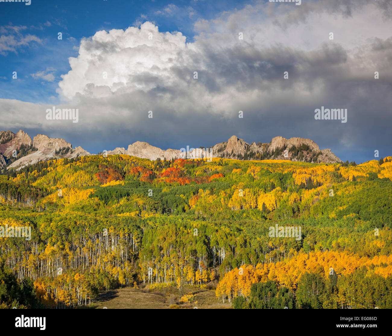 Gunnison National Forest, CO: Wolken über der Rubin reichen in der früh fallen Stockfoto