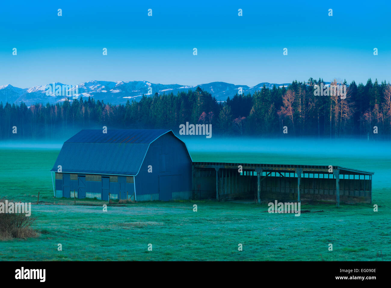 Hof und Scheune an einem nebligen Morgen in Comox Valley, British Columbia, Kanada Stockfoto