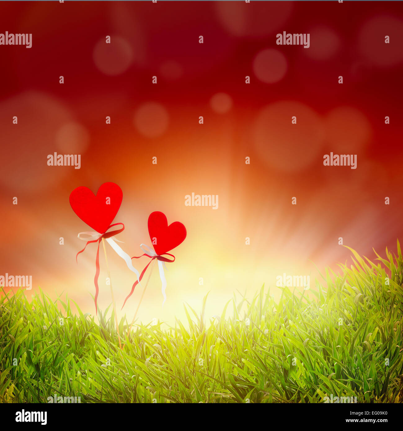 Valentinstag Hintergrund mit zwei Herzen, Gräser und roten Himmel mit bokeh Stockfoto