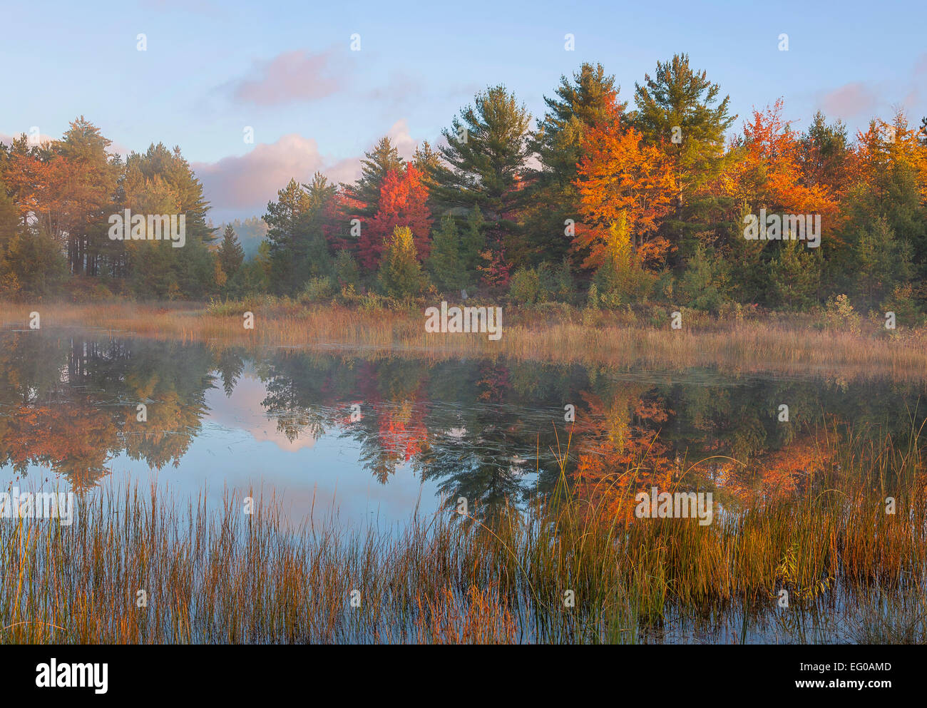 Lake Superior State Forest, Michigan: Dawn Reflexionen über Kingston See mit bunten Herbstwald Stockfoto