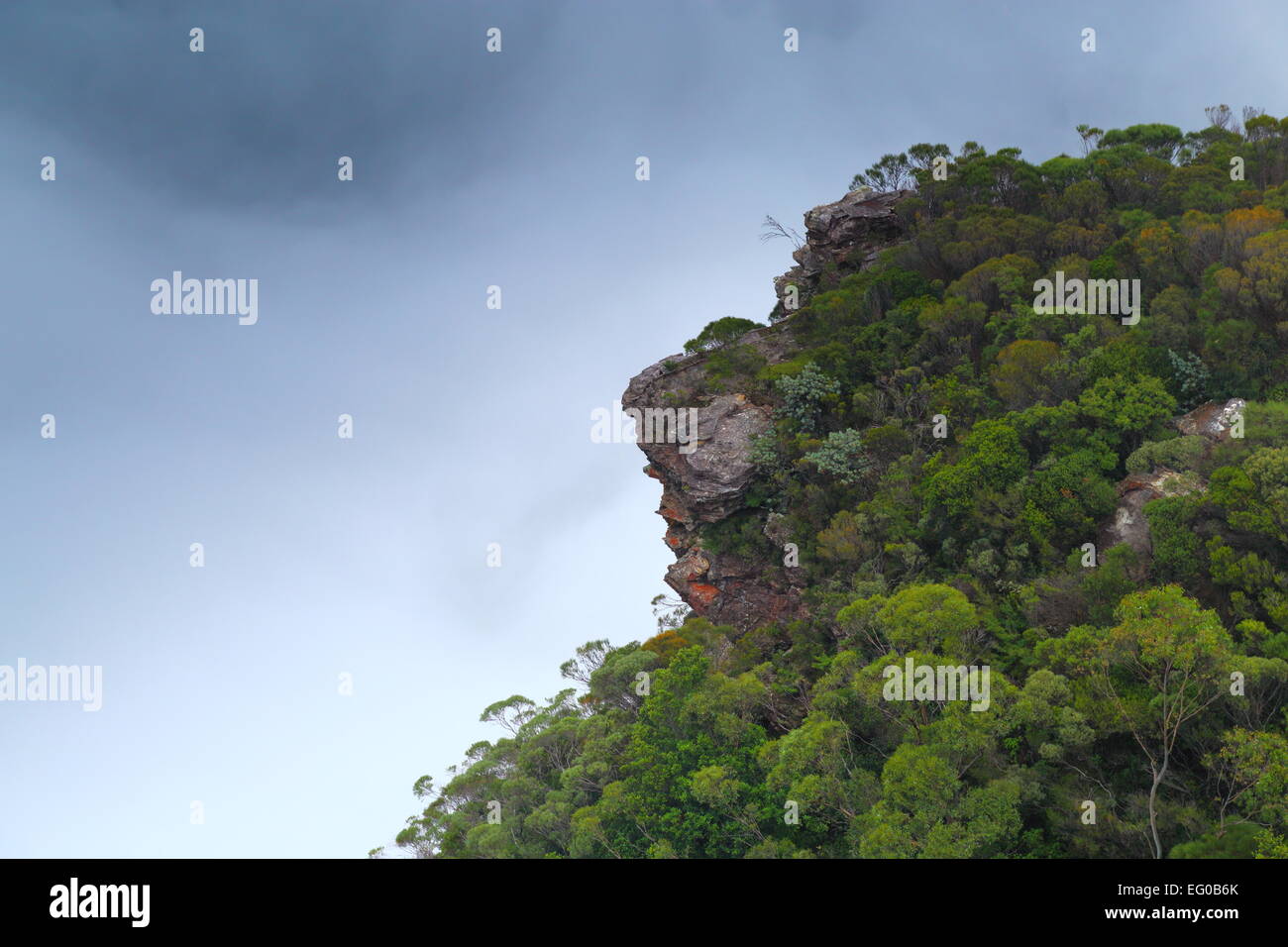 Nebel wirbelt und verdichtet, um einen Bluff in der Nähe von Lincolns Rock in der Nähe von Wentworth Falls in den Blue Mountains, New South Wales, Australien. Stockfoto