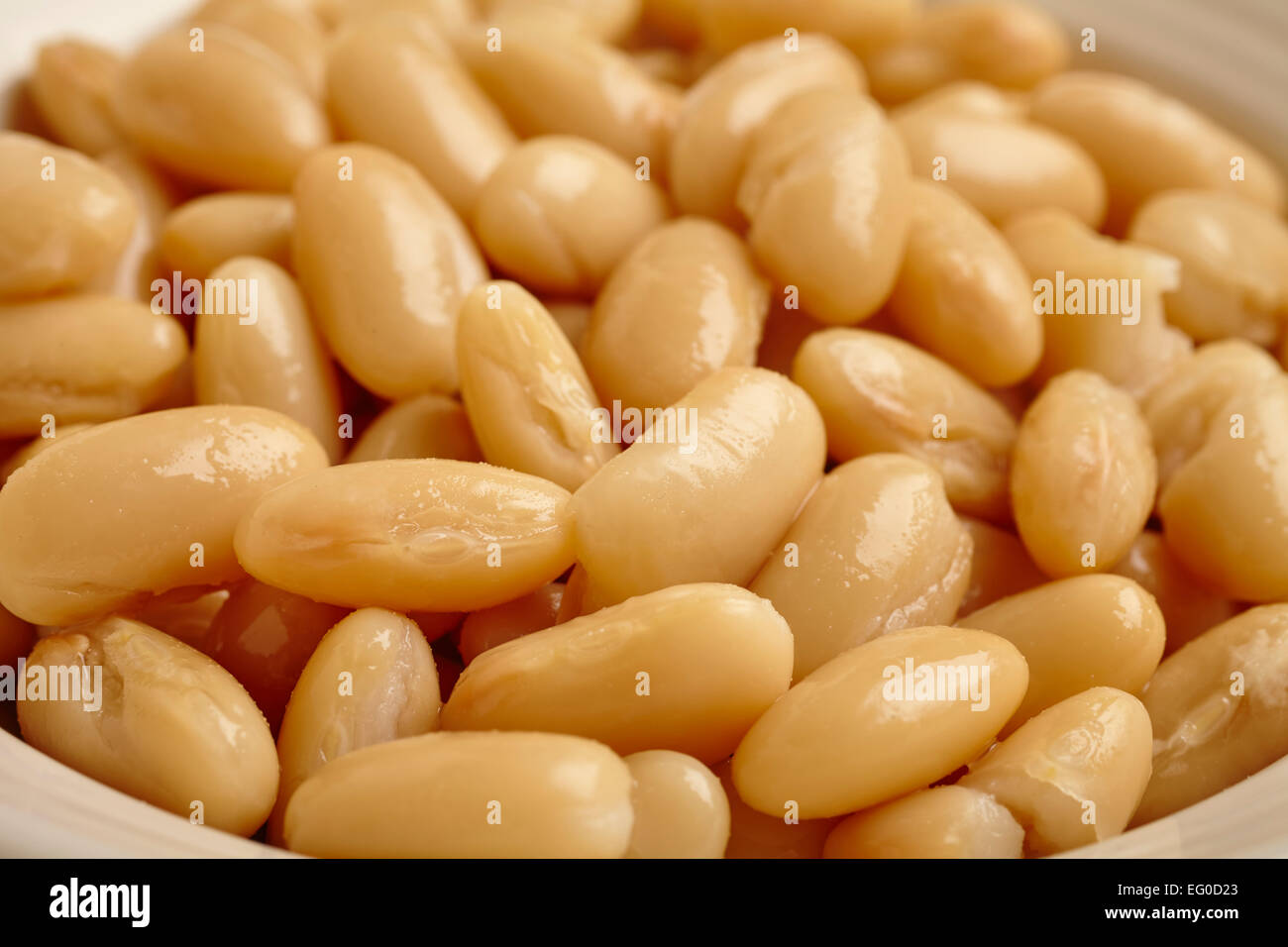 Italienische weiße Bohnen gekocht Stockfoto