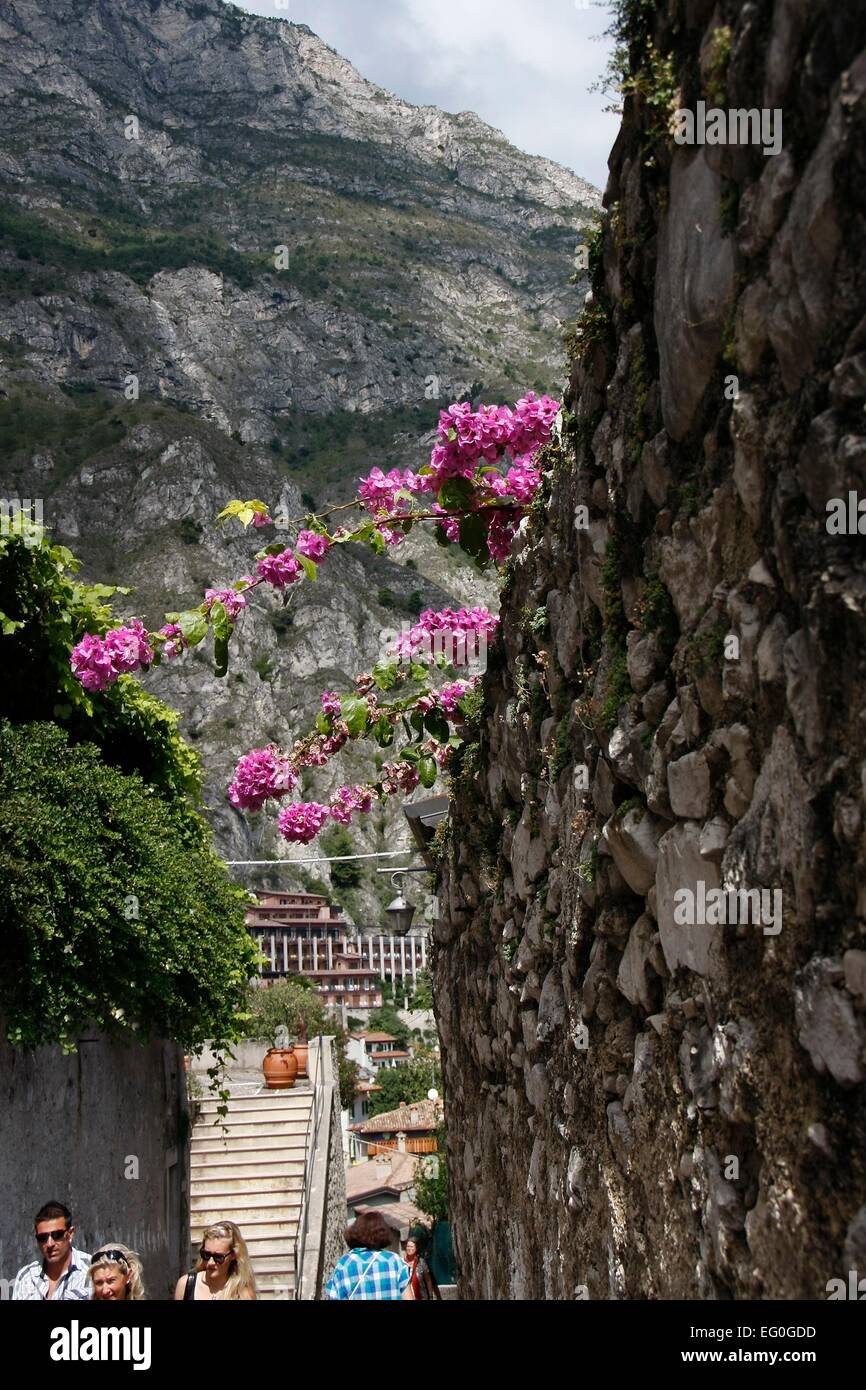 Engen Gassen und historischen Gebäuden dominieren die alte Ortschaft Limone. Limone Sul Garda befindet sich am westlichen Ufer des Gardasees in der Provinz Brescia in der Lombardei, Italien. Foto: Klaus Nowottnick Datum: 28. August 2014 Stockfoto