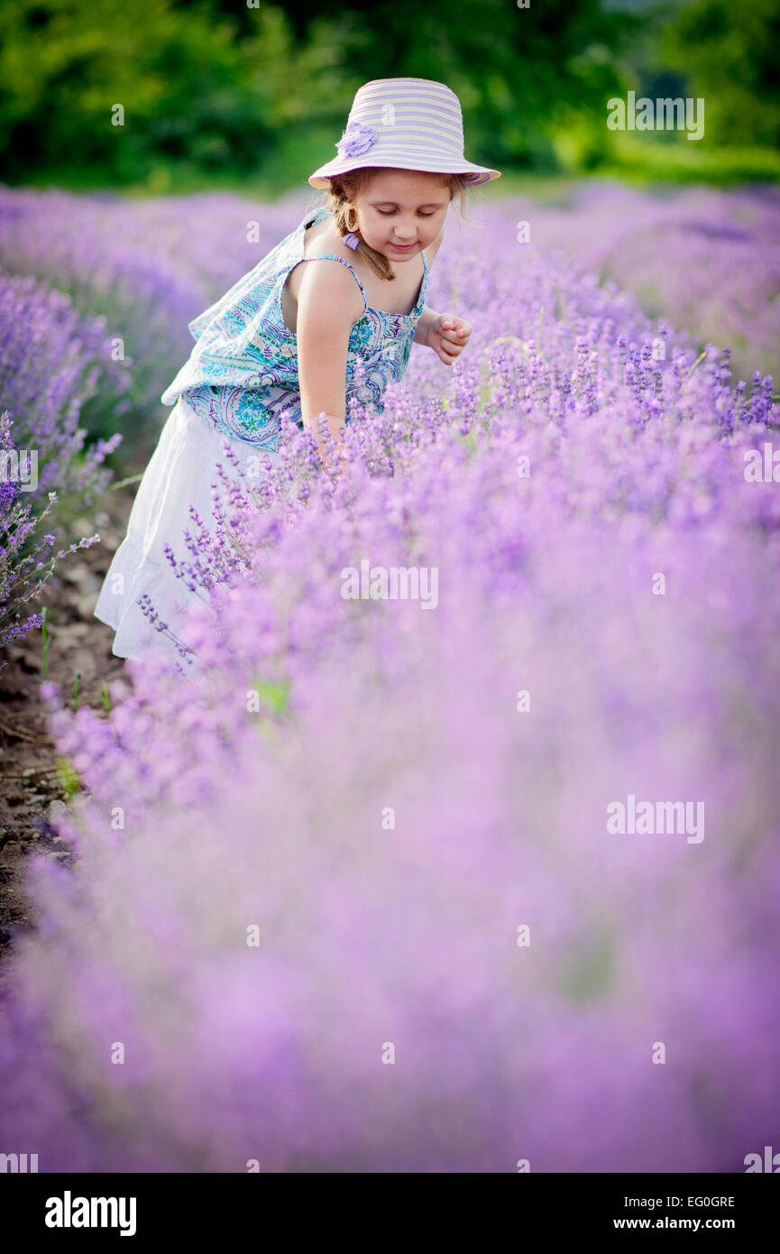 Kleines Mädchen (4-5) im Lavendelfeld Stockfoto