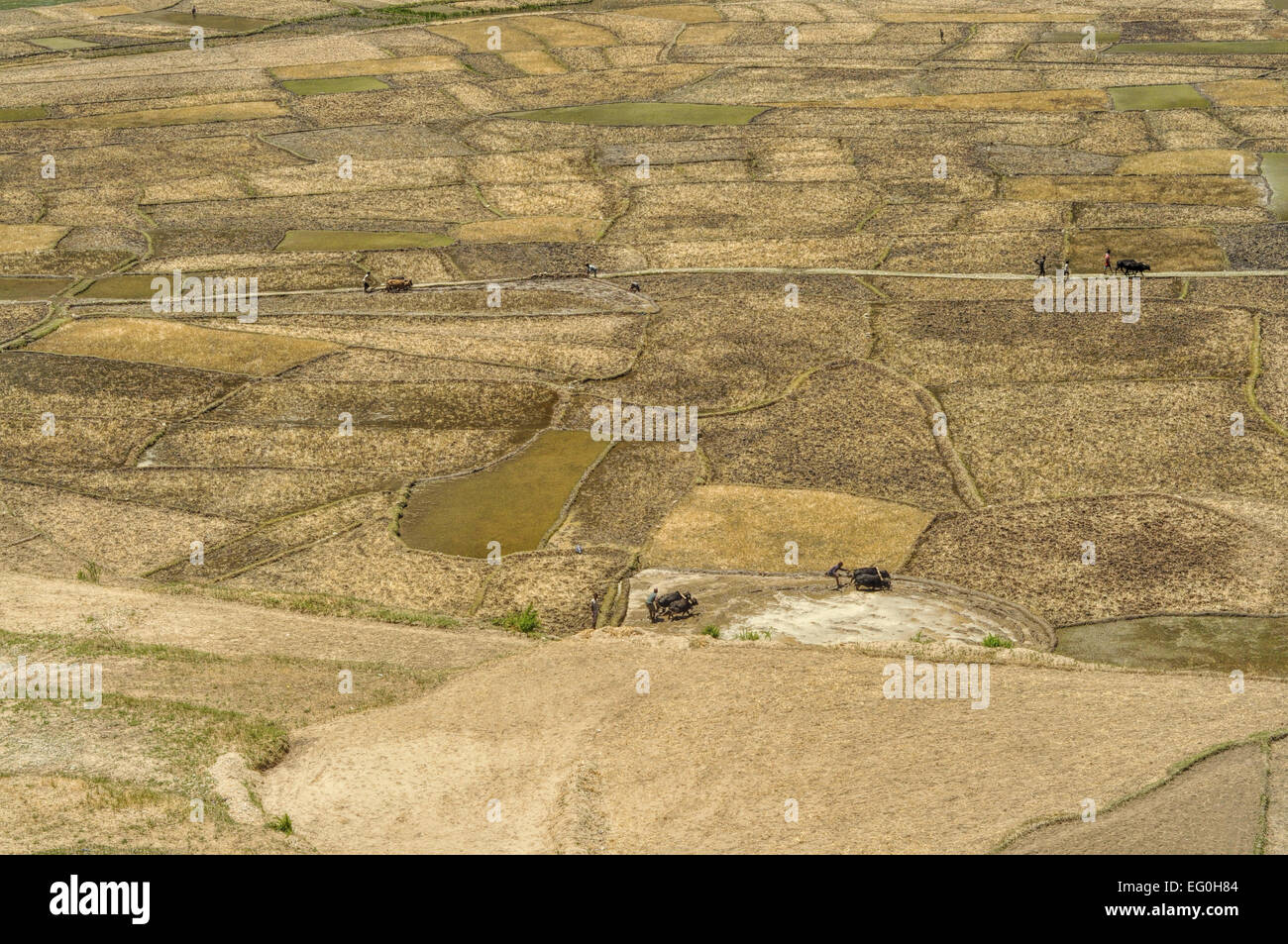 Malerische Luftaufnahme der traditionellen Landwirtschaft in Nepal Stockfoto