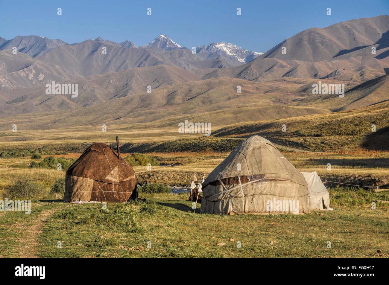 Nomadische Siedlungen mit Jurten auf grünen Wiesen in Kirgisistan Stockfoto