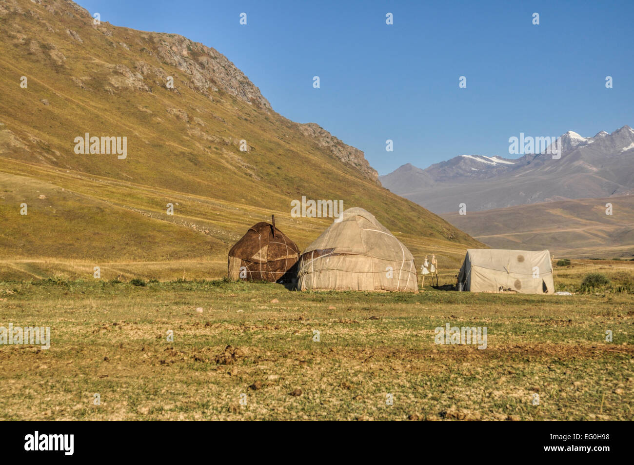 Jurten der Nomaden auf grünen Wiesen in Kirgisistan Stockfoto