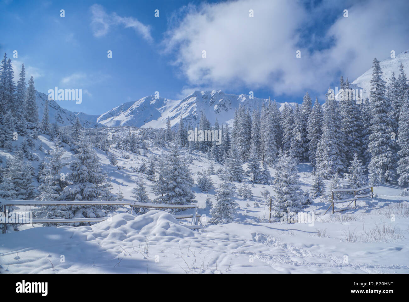Idyllischen weißen Winter im Gebirge der Slowakei Stockfoto