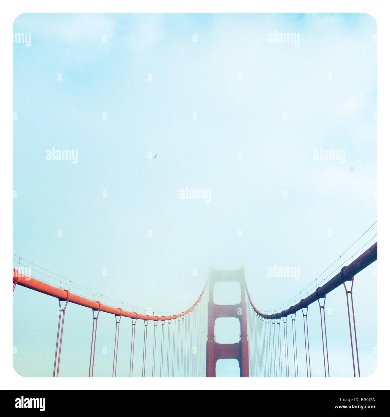 Golden Gate Brücke im Nebel, San Francisco, California, Vereinigte Staaten von Amerika Stockfoto