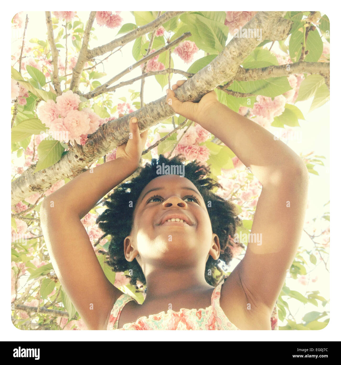 Mädchen hält Zweig der blühenden Baum Stockfoto