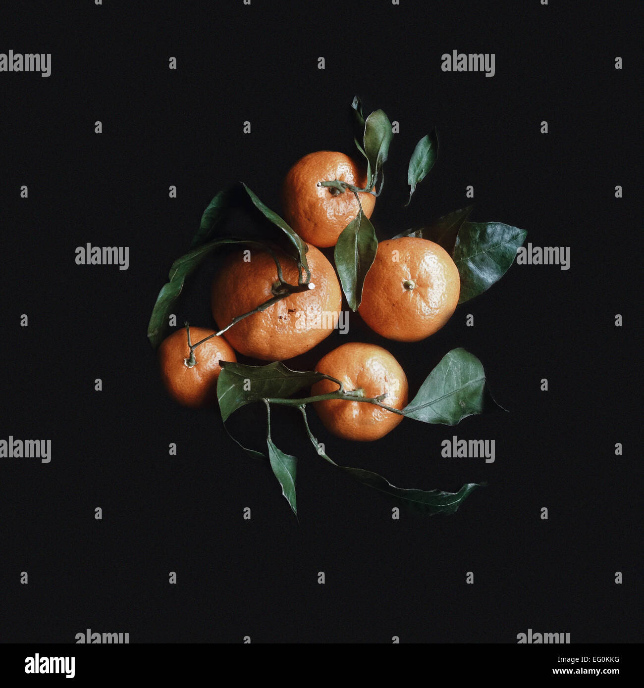 Draufsicht auf frische Mandarinen mit Blätter Stockfoto