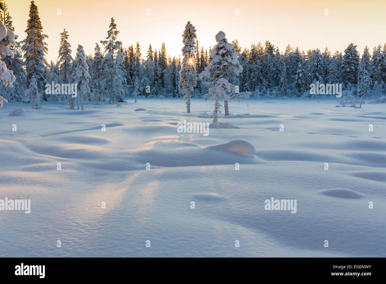 Schöne Winterlandschaft mit viel Schnee und Schnee auf den Bäumen, Gällivare Schweden Stockfoto