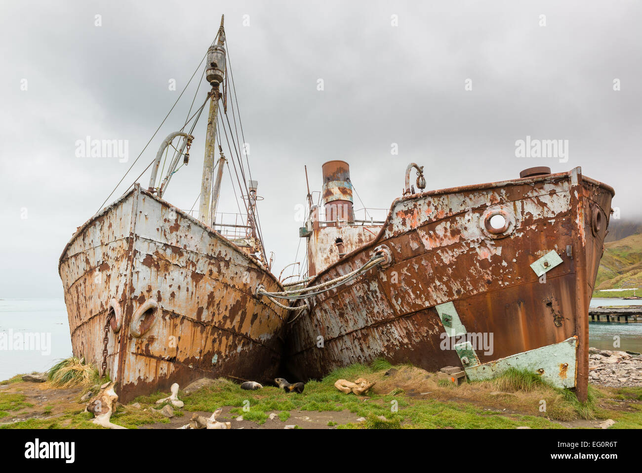 Rosten Walfang-Schiffe, geerdet in Grytviken Walfang-Station, Südgeorgien, Antarktis Stockfoto