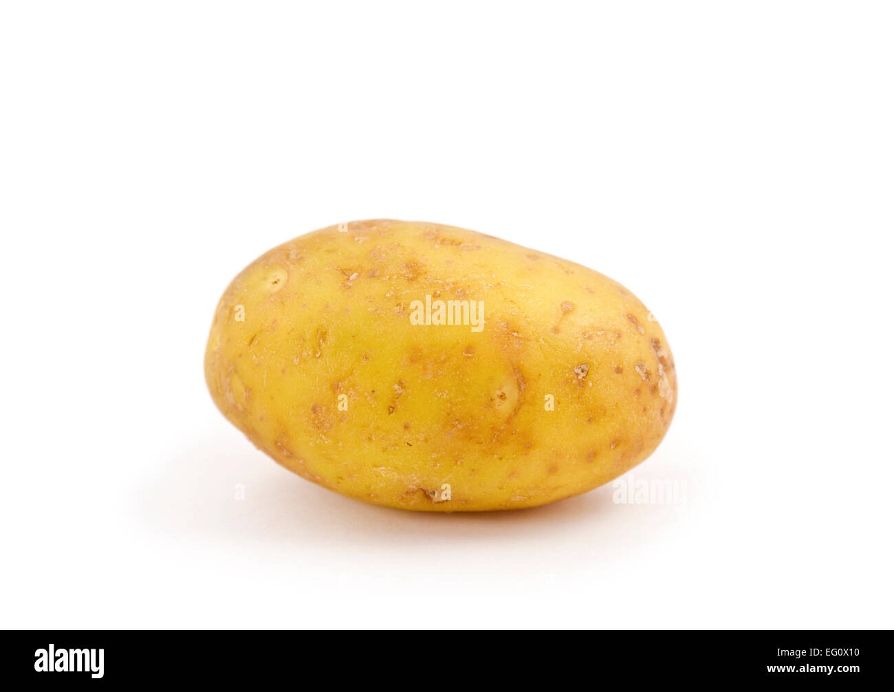 Kartoffel auf weißem Hintergrund. Stockfoto