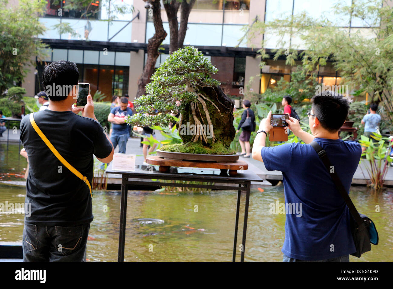 Ein Bonsai-Liebhaber, die Aufnahme eines Bonsai Pflanze wurde von philippinischen Bonsai Gesellschaft (PBSI) neben der Ayala Museum in Makati City als Teil des Monats Februar Kunst. PBSI fördern die Bonsai in den Philippinen und sie geben bekannt, dass im Jahr 2016 die Organisation Bonsai Club International (BCI) Show in Philippinen veranstaltet. © Gregorio B. Dantes Jr./Pacific Press/Alamy Live-Nachrichten Stockfoto