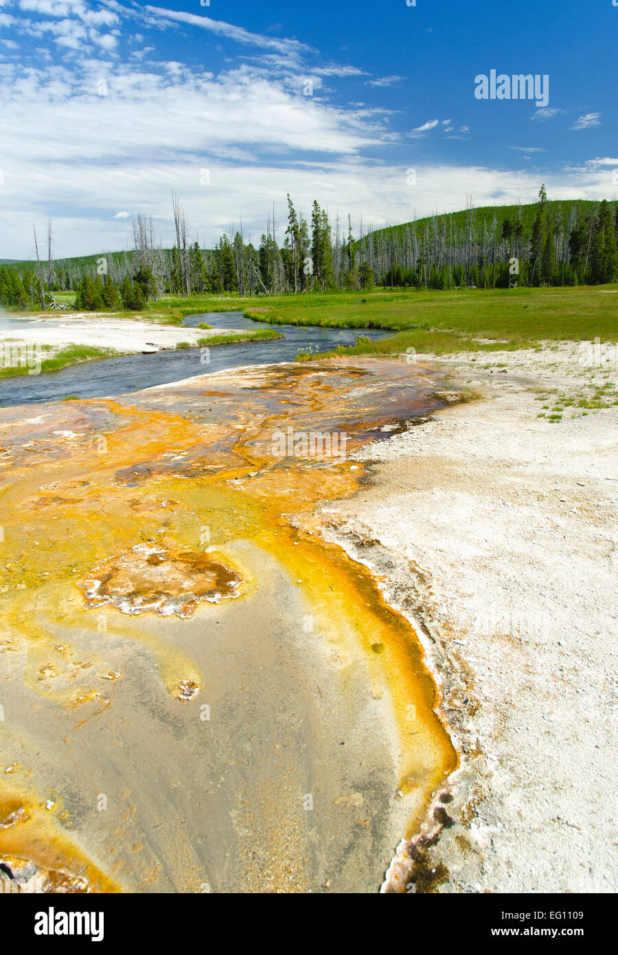 Farben des schwarzen Sand Basin, Yellowstone NP Stockfoto