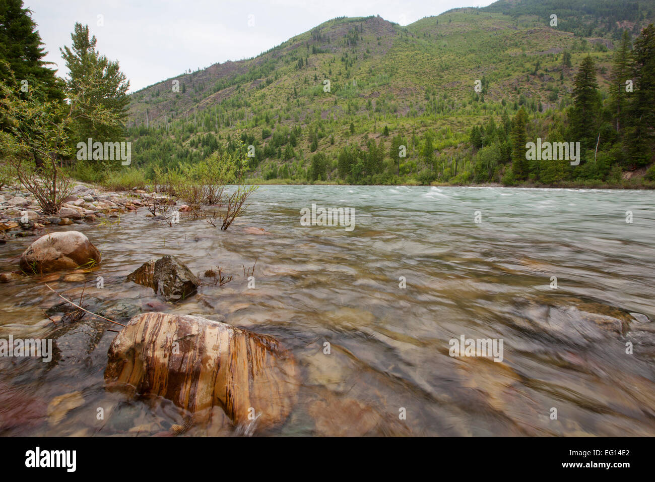 North Fork Flathead River in Montana Stockfotografie Alamy