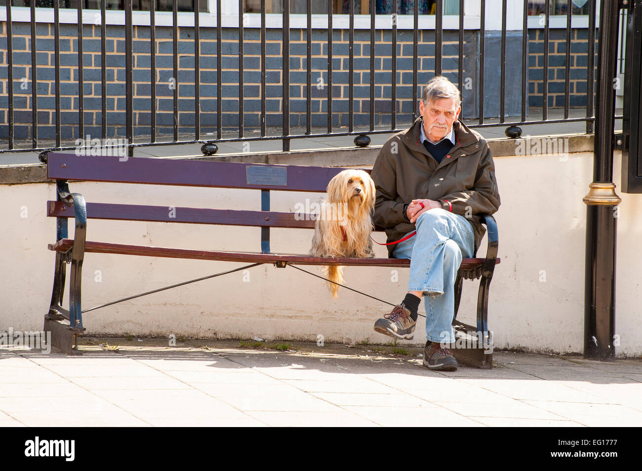 Mann sitzt auf einer Bank mit seinem Hund Stockfoto