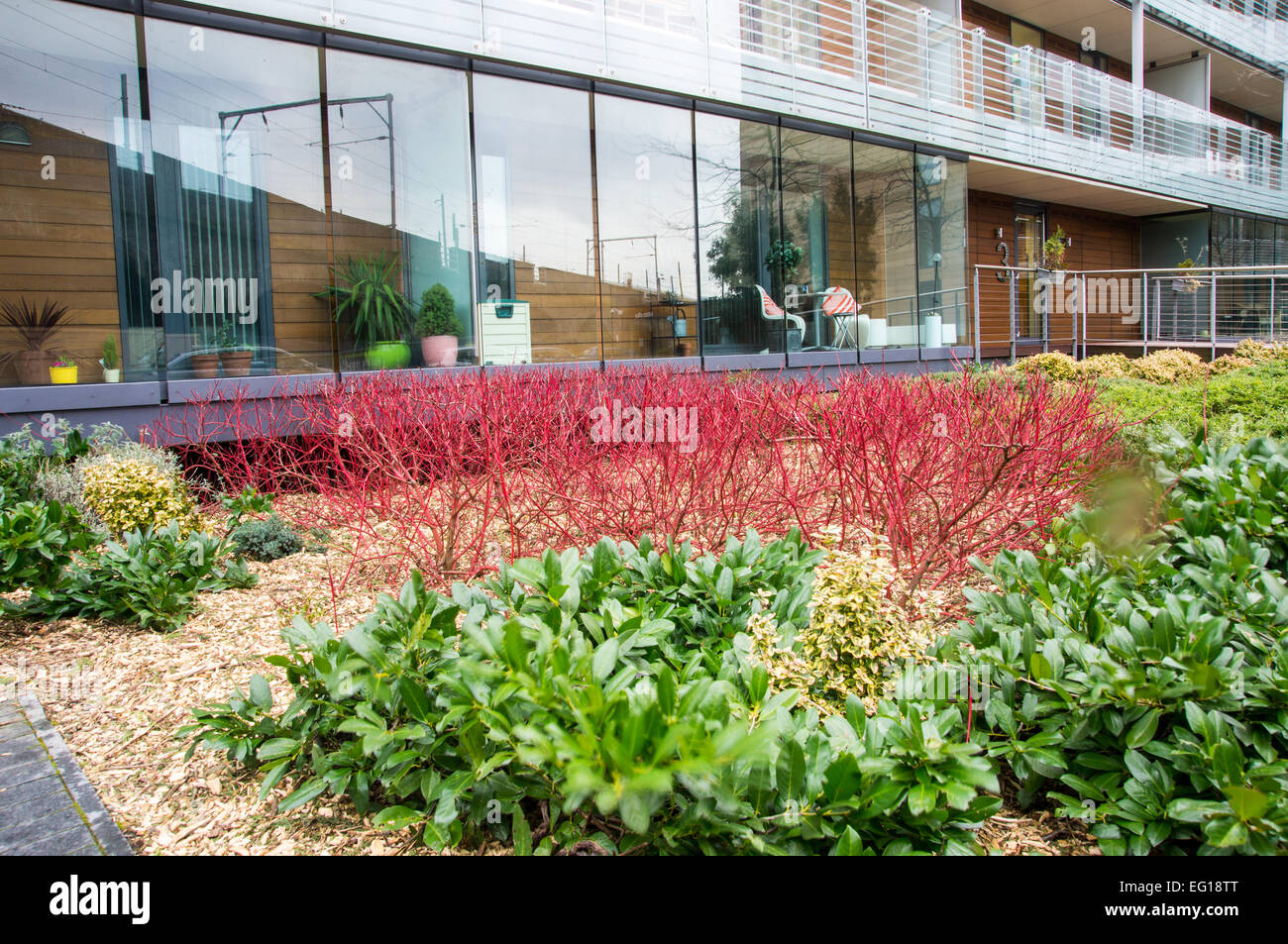 Vorgarten der St Georges Island, Wohnblock in Castlefield, Manchester Stockfoto