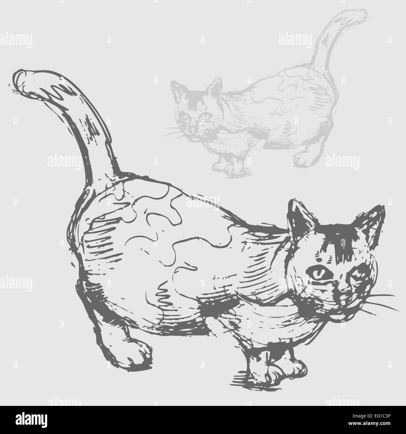 Ein Bild von einer fetten Katze zeichnen. Stockfoto