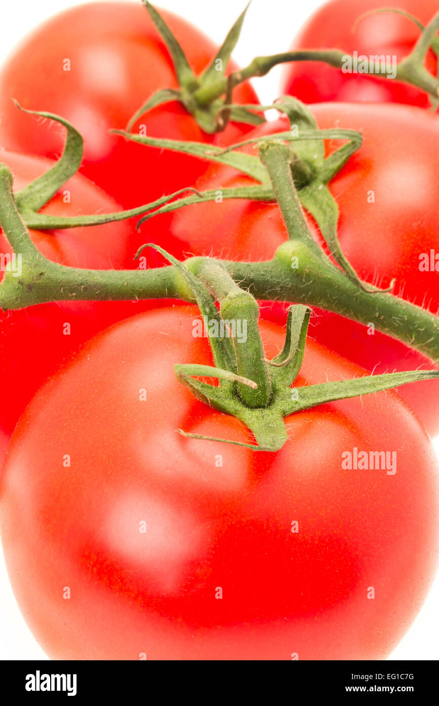 Saftiger Rotwein Tomaten - weißer Hintergrund Stockfoto
