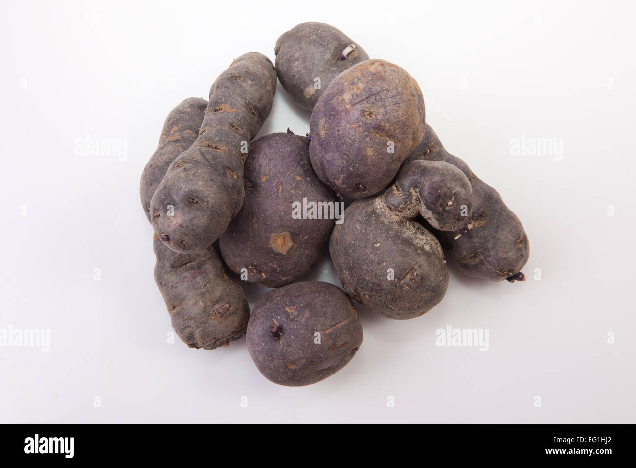 Lila Vitelotte-Kartoffeln. Isoliert auf weißem Hintergrund Stockfoto