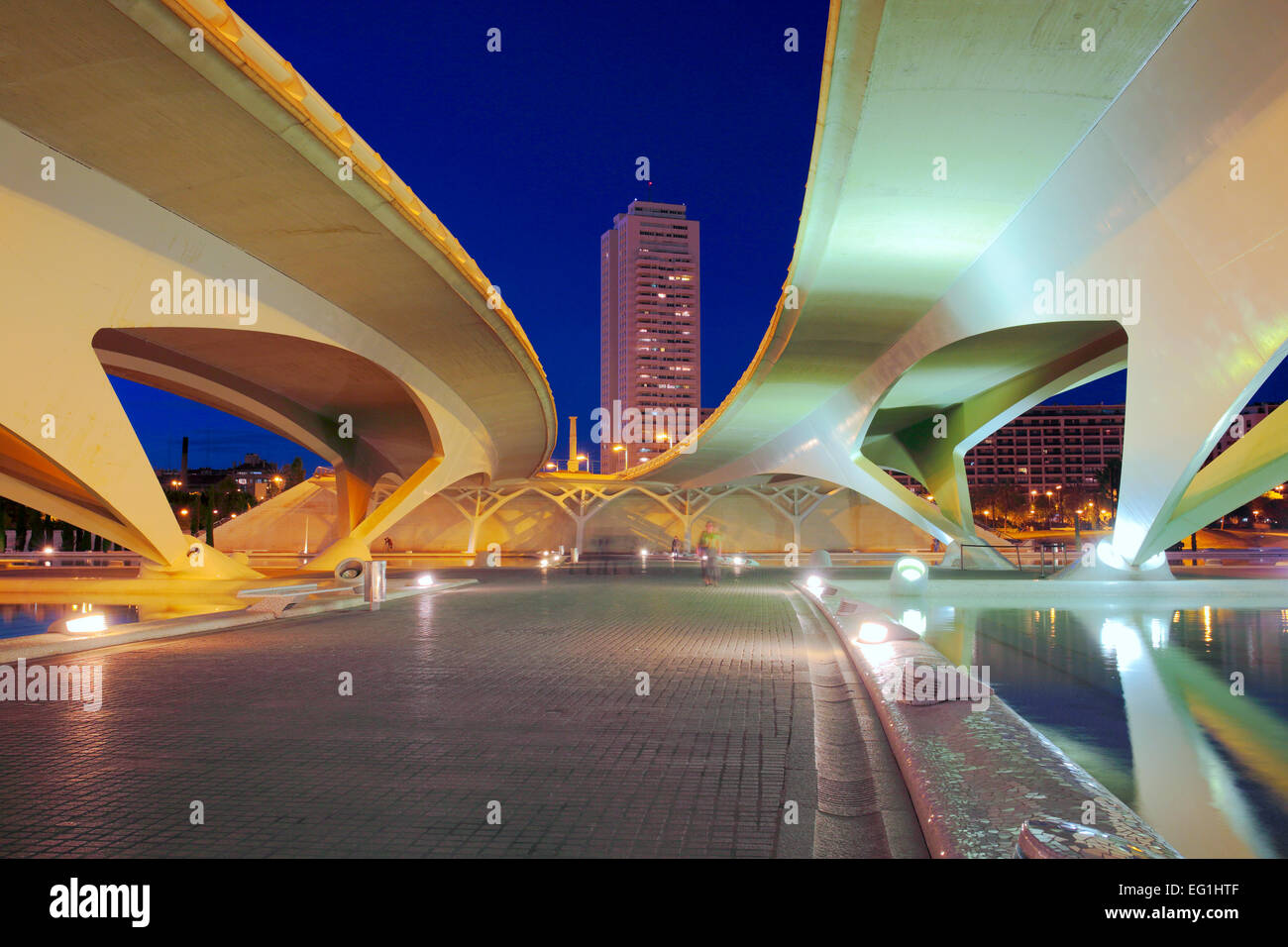 Stadt der Künste und Wissenschaften (Ciudad de Las Artes y Las Ciencias) in der Nacht, Valencia, Valencia, Spanien Stockfoto