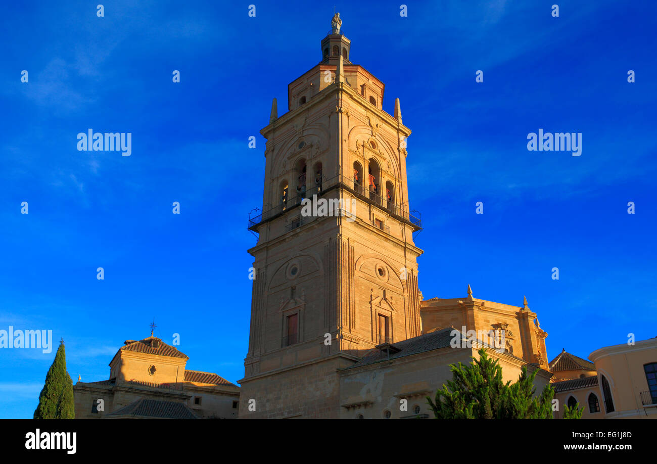 Kathedrale, Guadix, Andalusien, Spanien Stockfoto