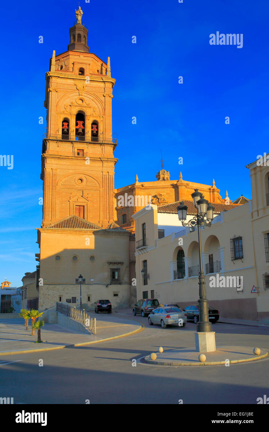 Kathedrale, Guadix, Andalusien, Spanien Stockfoto