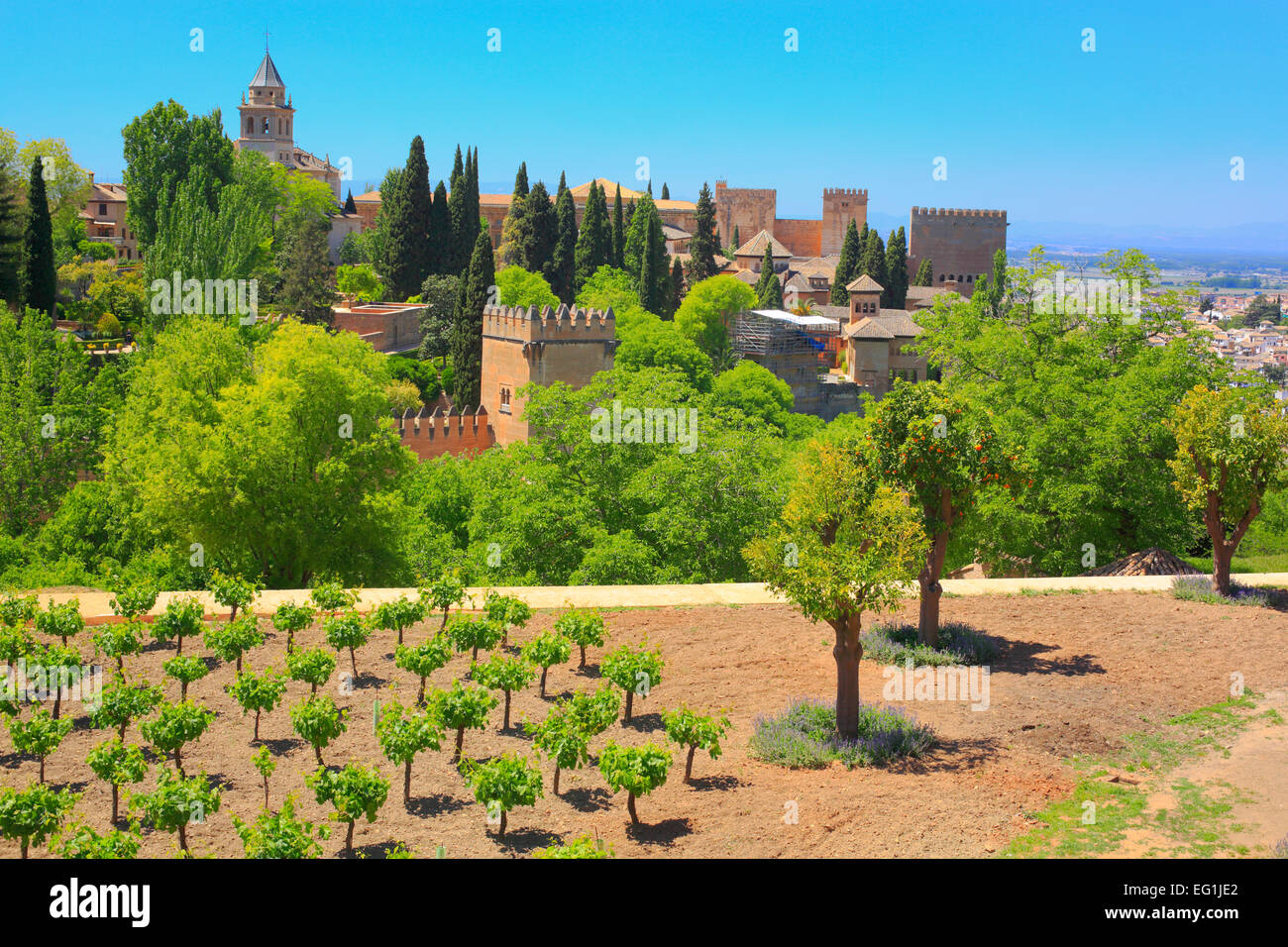 Alhambra, Granada, Andalusien, Spanien Stockfoto