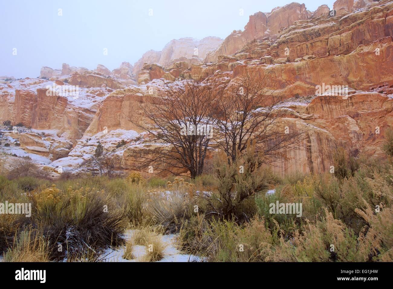 Capitol Reef National Park in Utah im Winter mit Schnee. Stockfoto