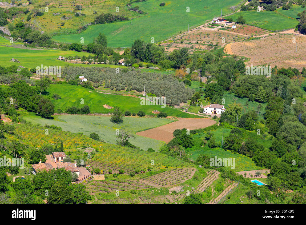 Landschaft, Ronda, Andalusien, Spanien Stockfoto