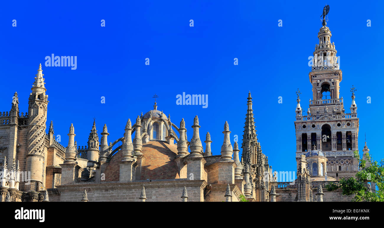 Kathedrale der Heiligen Maria des Stuhls (Catedral de Santa María De La Sede), Sevilla, Andalusien, Spanien Stockfoto
