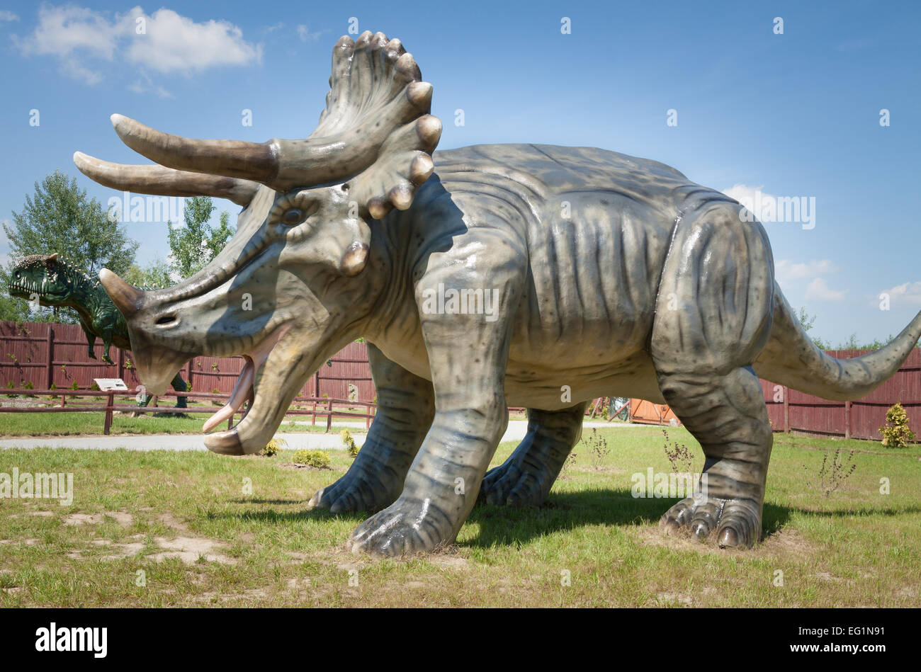 Triceratops Dinosaurier im Jura Park, wirkliche Größe Replik Stockfoto