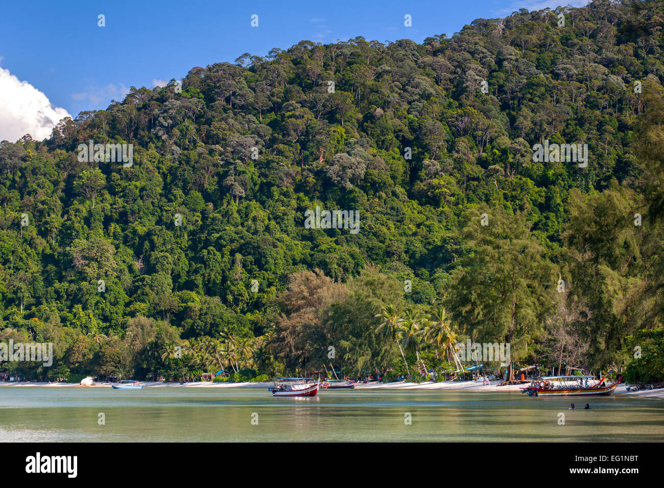 Monkey Beach in Penang National Park in Penang, Malaysia. Stockfoto