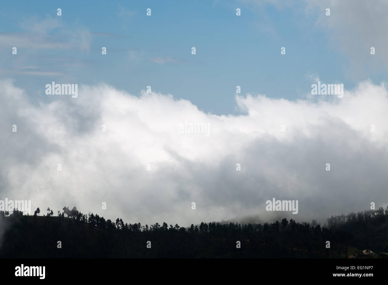 Orographische Wolken, die über einen Berggipfel in der Nähe von Pico do Itapeva, Pindamonhangaba, Staat Sao Paulo, Brasilien, passieren Stockfoto