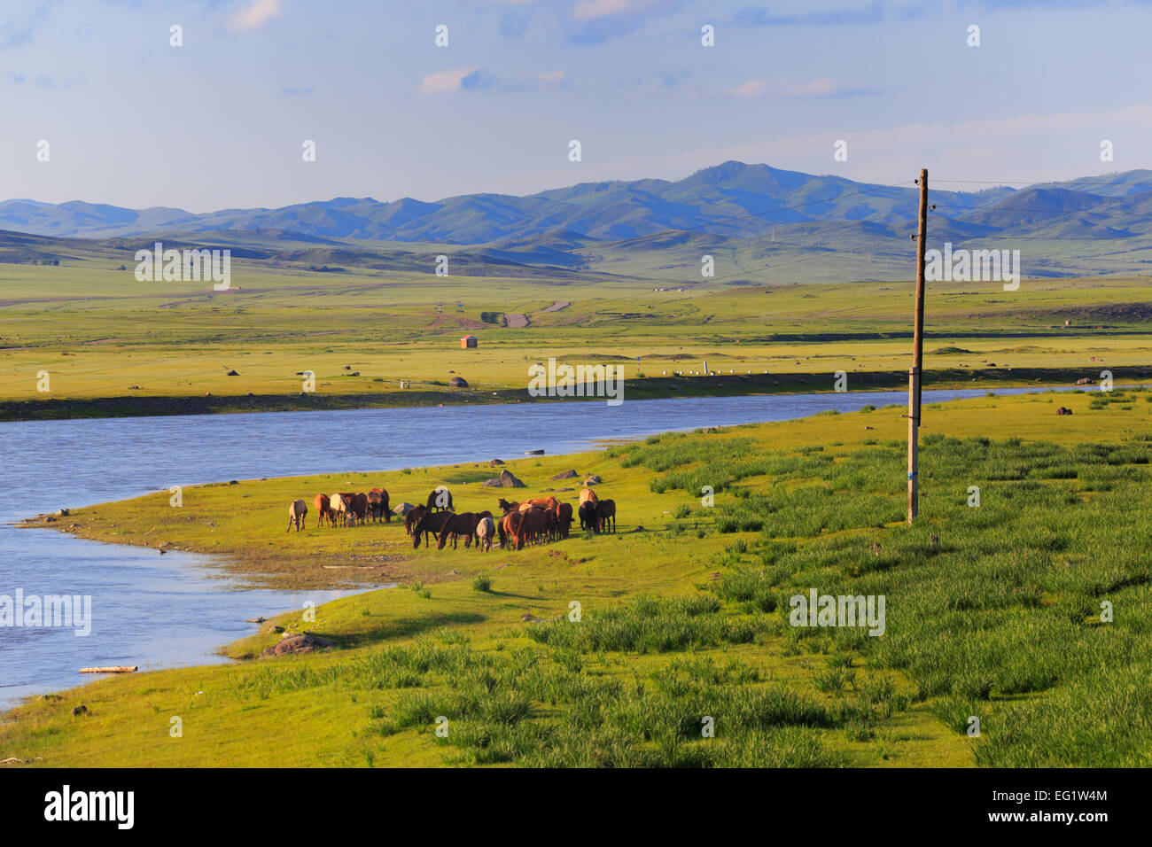 Orkhon Fluss, Bulgan Provinz, Mongolei Stockfoto
