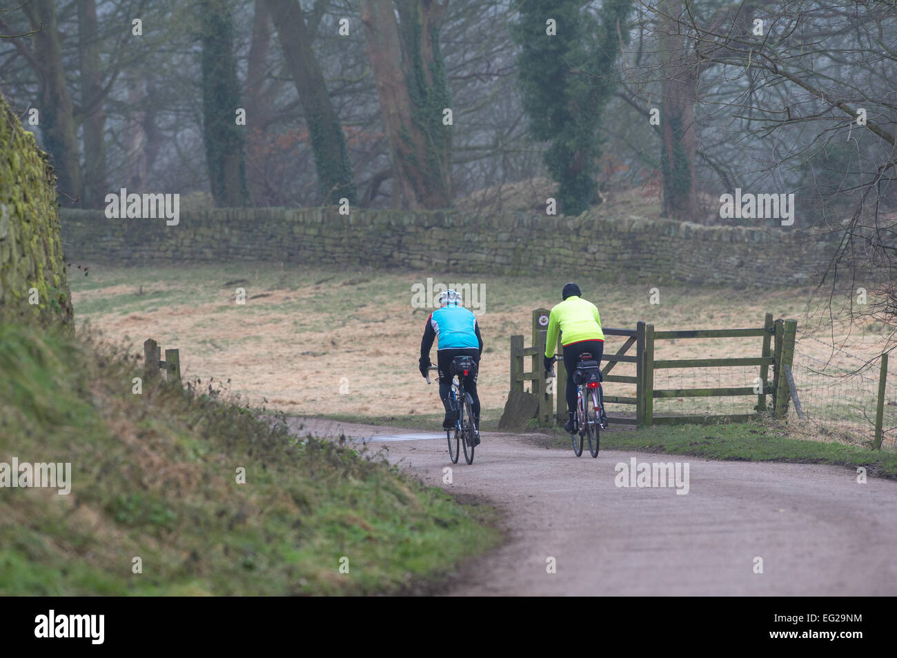 Männliche Radfahrer Fahrrad bergab durch einen Landschaftspark. Stockfoto