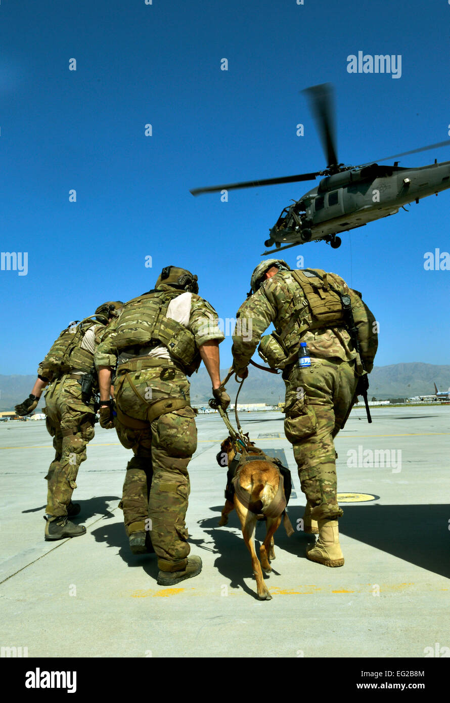 US-Armee taktischen Sprengstoffspürhunde und ihre Handler abwechselnd immer in einem HH - 60G Pave Hawk von 83. Expeditionary Rescue Squadron Pararescuemen bei gemeinsamen training 21. Juni 2013, Bagram Airfield, Afghanistan gehisst. Die TED-Hunde werden ausgebildet, um Sprengstoff außerhalb der Basis zu finden. Die Chancen von ihnen brauchen Rettung während des Betriebs sind hoch, was diese Ausbildung wichtig für beide Zweige nach der Hundeführer.  Staff Sgt Stephenie Wade Stockfoto