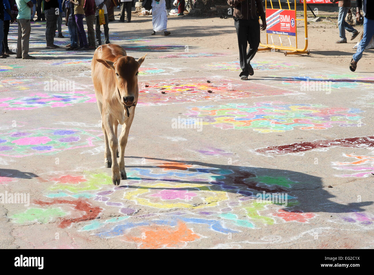 Kuh zu Fuß con Straße Gemälde in Hampi auf Indien Stockfoto