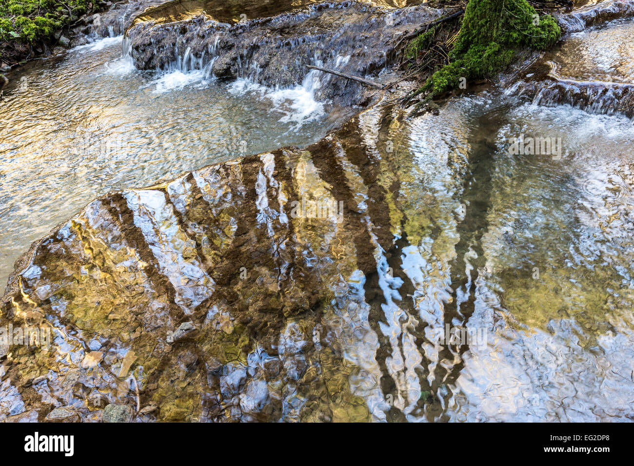 Stream mit Tuffstein Talsperren, Slade unteren Tal, St. Briavels, Gloucestershire, England, UK Stockfoto