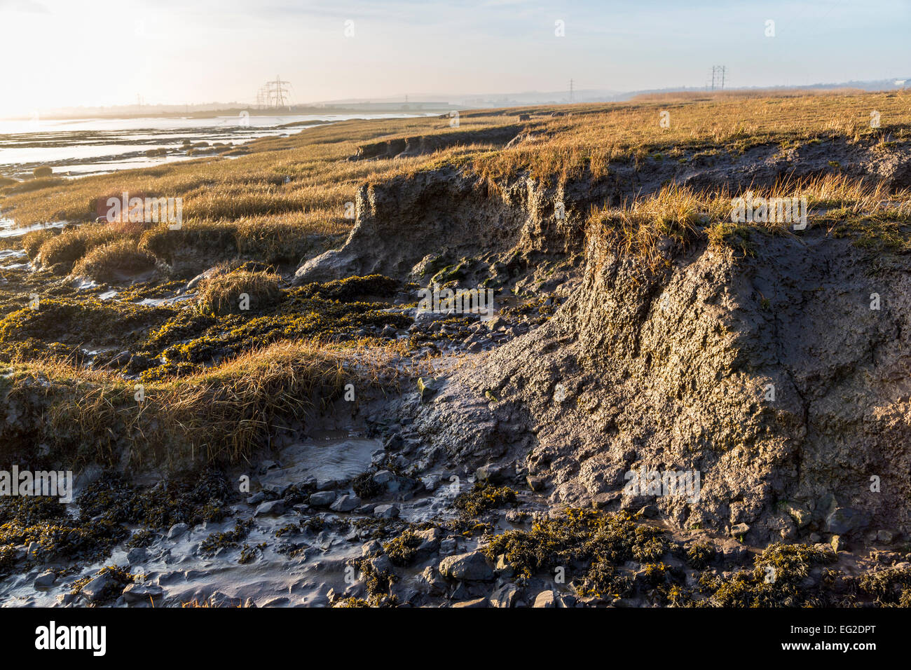 Erodieren, Lehm und Mudbanks auf den Salzwiesen am Beachley Punkt, Fluss Severn, Gloucestershire, England, UK Stockfoto