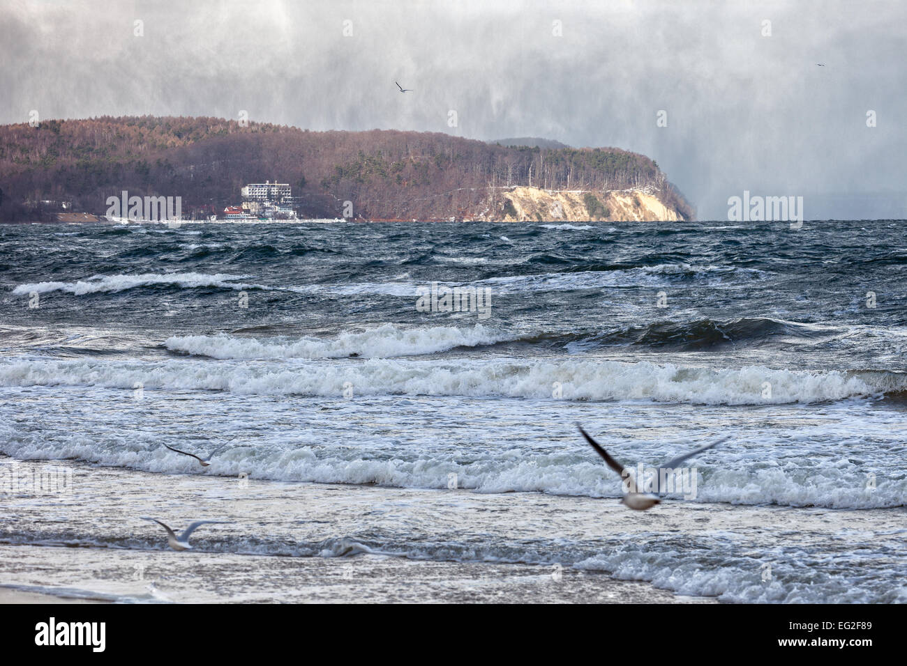 Meer in einen Schneesturm und Cliff in Orlowo in der Ferne. Stockfoto