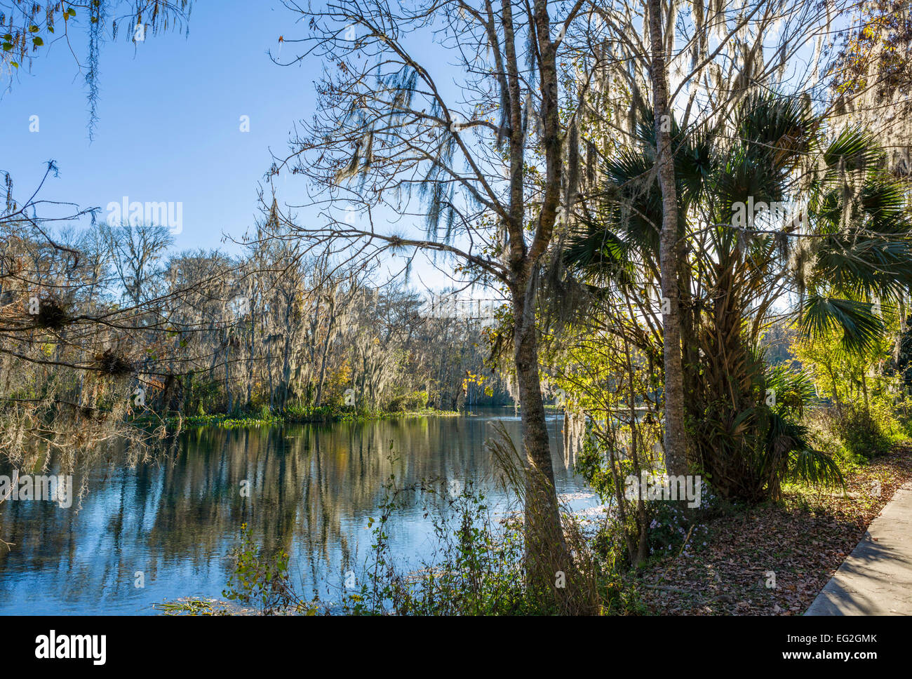 Weg entlang des Flusses Silber Silver Springs State Park in der Nähe von Ocala, Marion County, Florida, USA Stockfoto