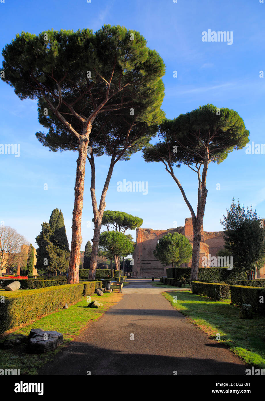 Caracalla-Thermen (217), Rom, Italien Stockfoto