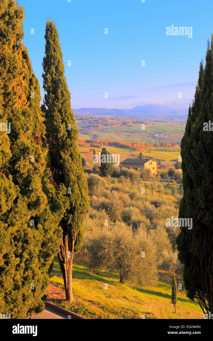 Ansicht des Val d ' Orcia (Valdorcia), Pienza, Toskana, Italien Stockfoto