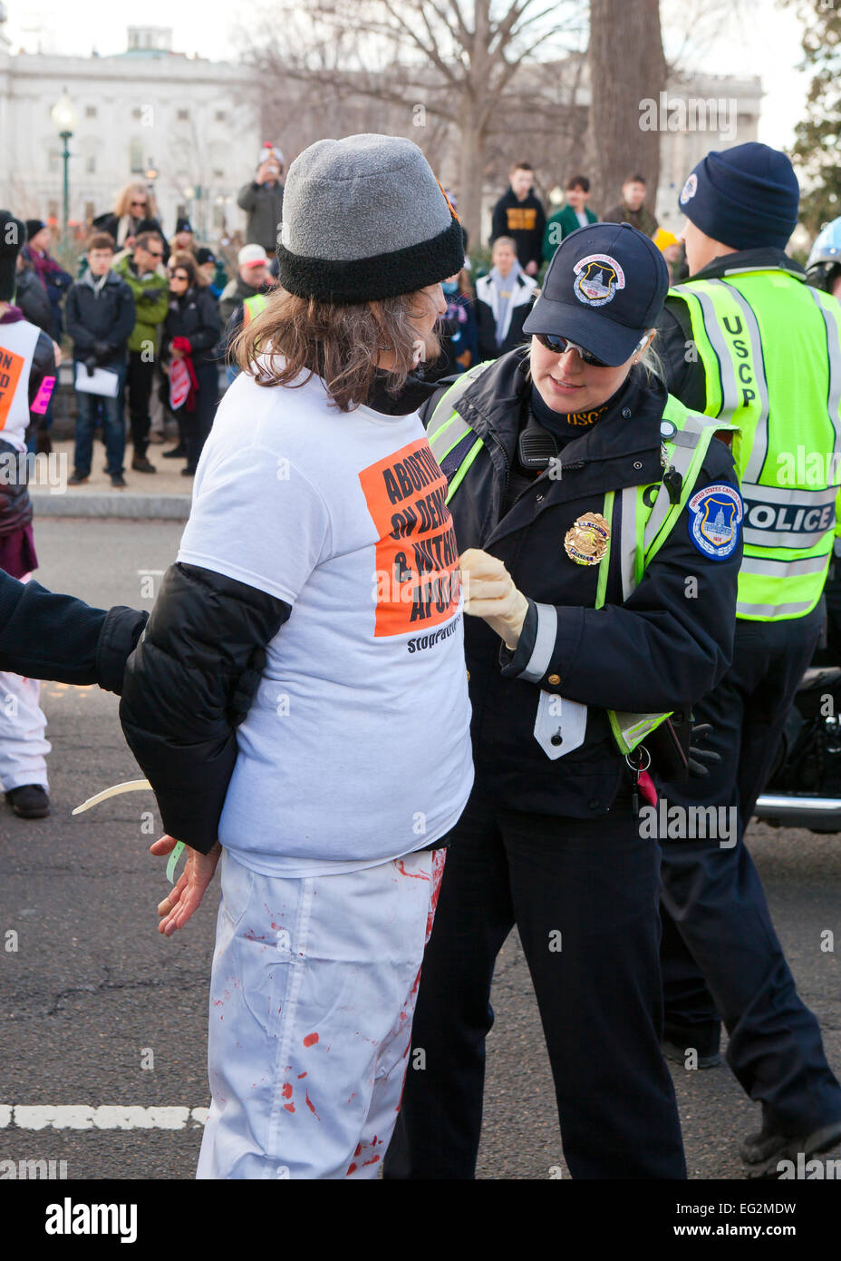 Pro-Choice-Aktivist wegen zivilen Ungehorsams im Pro-Life März - 22. Januar 2015, Washington, DC USA Stockfoto