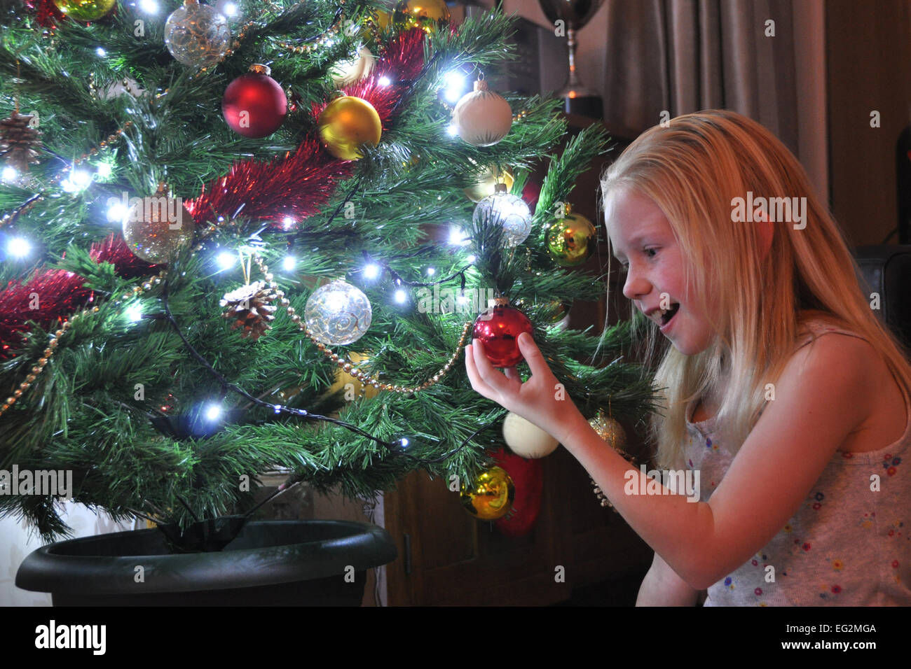 Kind betrachten Christbaumkugel auf Weihnachtsbaum Stockfoto